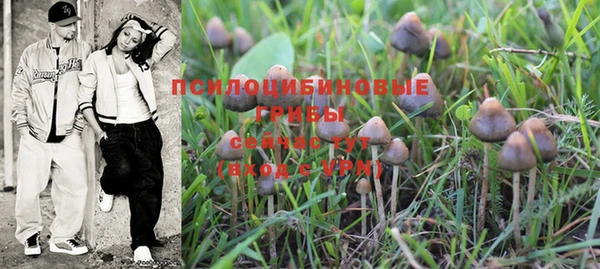 шишки Абдулино