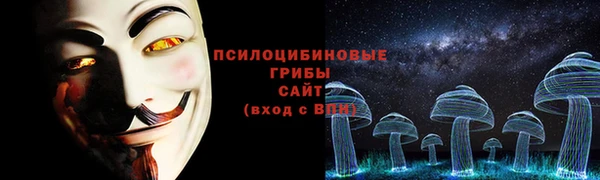 шишки Абдулино