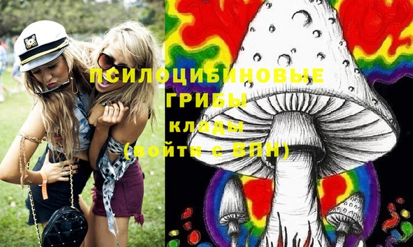 шишки Абдулино